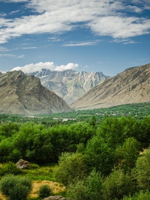 Kashmir